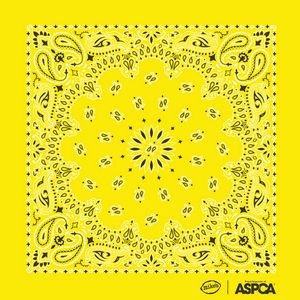 USA Made Classic Paisley Bandanna 22" x 22" Pre-printed Dyed Color/Design 100% Cotton (35 Colors)