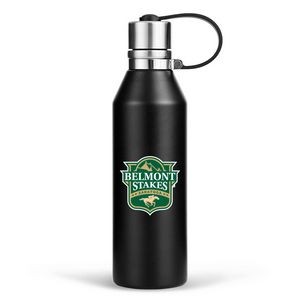 17 oz. Travel Stainless Steel Vacuum Insulated Thermos Bottle w/ Lid & Handle